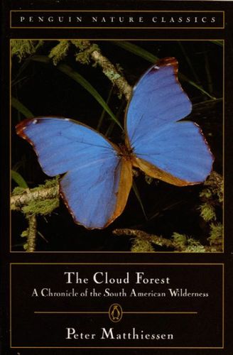 The Cloud Forestcloud 