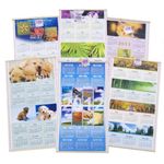 2010-2011 Scroll Wall Calendars Case Pack 48
