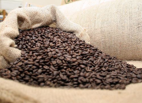Selva Negra Shade Grown Organic Coffee 1 lb Med Roastselva 