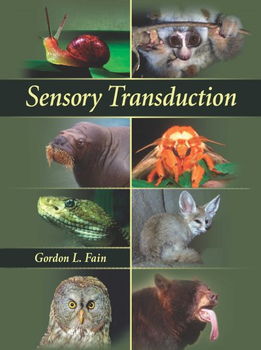 Sensory Transductionsensory 