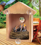 See Through One Way Mirrored Bird House - Suction Cup Window Mounted Bird Nesting Box