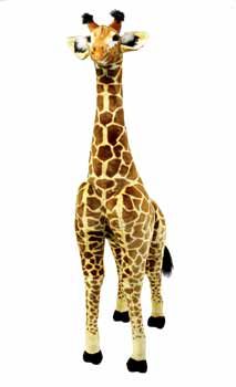 6 Foot Giraffe