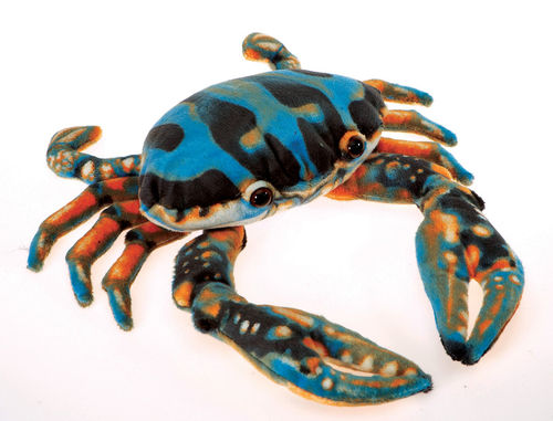 6"" Blue Crab Case Pack 36