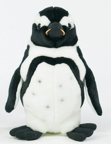 15"" Plush Black Footed Penguin Case Pack 12