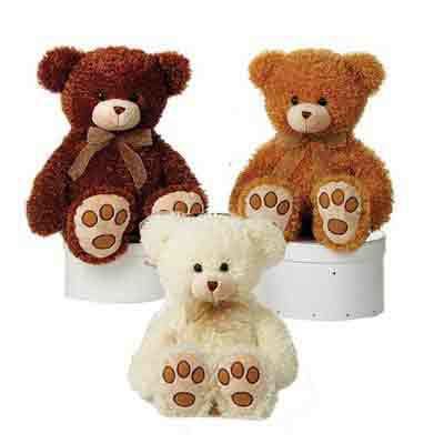 15"" 3 Asst. Cuddle Curly Bears Case Pack 24