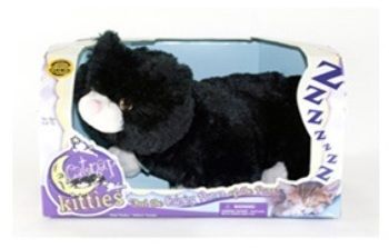 Catnap Kitties Plush Toy Black Case Pack 6