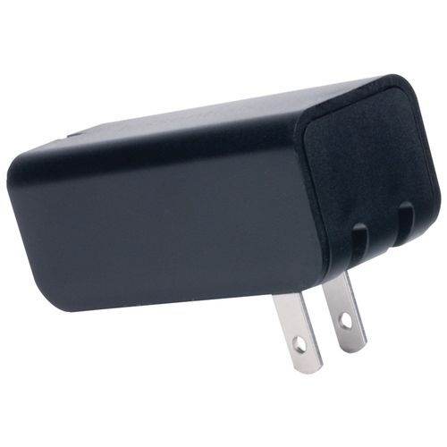 IESSENTIALS IE-ACP-2U Dual USB Home Charger