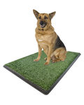 Large Potty Pad Tray - Indoor Outdoor Doggie Pet Grass Patch Bathroom