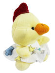 5 Baby Duck Recordable