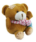 5 Teddy Bear Recordable